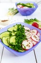 A light vitamin spring - summer salad with fresh cucumbers, radish Royalty Free Stock Photo