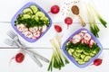 A light vitamin spring - summer salad with fresh cucumbers, radish and green onions Royalty Free Stock Photo