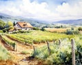 Light watercolors of a vineyard on different locations in the world.