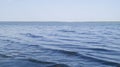 Light waves on the lake are illuminated by the evening rays of the sun. Blooming lake. Windy on a salt lake in Russia.