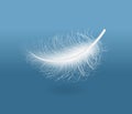 Light white feather. Vector Royalty Free Stock Photo