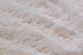 Light long fiber soft fur. White fur for background or texture. Fluffy fake textile fur. Flat lay, top view, copy space Royalty Free Stock Photo