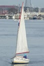 Light wind in New Bedford harbor Royalty Free Stock Photo