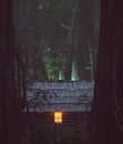 Light from window of an old cabin in haunted forest Royalty Free Stock Photo