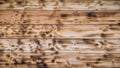 Light wood texture. Charred and burnt old boards with knots. Royalty Free Stock Photo