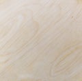 Light wood texture, may use as a background. Royalty Free Stock Photo