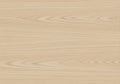 Light wood texture with a smooth, even grain pattern. The surface displays subtle, linear swirls Royalty Free Stock Photo