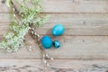 Light wooden background and bright blue Easter eggs with white spring flowers. Place for text. Flat lay Royalty Free Stock Photo