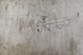 Light wooden background. Scratched wooden wall. Royalty Free Stock Photo