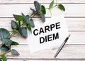 On a light wooden table, there is a eucalyptus branch, a fountain pen and a sheet of paper with the text CARPE DIEM Royalty Free Stock Photo