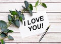 On a light wooden table, there is a eucalyptus branch, a fountain pen and a sheet of paper with the text I LOVE YOU Royalty Free Stock Photo