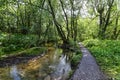 Narrow woodland path runs beside an old mill stream stream