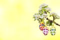 Light yellow background, branch with group of easter eggs