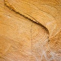 Light yellow cracked wooden texture Royalty Free Stock Photo