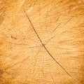 Light yellow cracked wooden texture Royalty Free Stock Photo