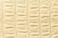 Light yellow leather texture background, closeup. Reptile skin, macro Royalty Free Stock Photo