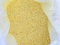 Light yellow small round granules are chemical fertilizers calcium nitrate