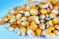 Light yellow, uncooked corn grains