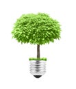 Lightbulb Royalty Free Stock Photo