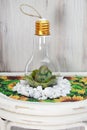 Lightbulb craft, with buddha on bed of moss, on sunflower table meditatiion Royalty Free Stock Photo