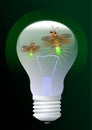 Lightbulb with firefly