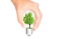 Lightbulb with a green tree in hand on white Royalty Free Stock Photo