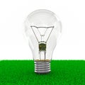 Lightbulb growing inside in field Royalty Free Stock Photo