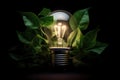 a lightbulb illuminated with green leaves surrounding it Royalty Free Stock Photo