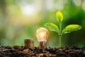lightbulb money stack and young plant in nature. idea saving energy and accounting finance concept