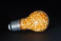 Lightbulb with popcorn seeds on black Royalty Free Stock Photo