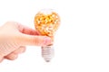 Lightbulb with popcorn seeds in hand on white