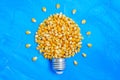 Lightbulb shape made from popcorn kernels on blue