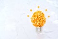Lightbulb shape made from popcorn seeds