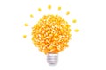 Lightbulb shape made from popcorn seeds on white