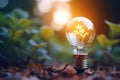 Lightbulb with small plant on soil and sunshine. Concept saving energy in nature Royalty Free Stock Photo