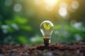 Lightbulb with small plant on soil and sunshine. Concept saving energy in nature Royalty Free Stock Photo