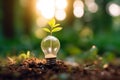 Lightbulb with small plant on soil and sunshine. Concept saving energy in nature Royalty Free Stock Photo