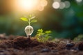 Lightbulb with small plant on soil and sunshine. Concept saving energy in nature Royalty Free Stock Photo