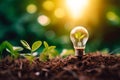 Lightbulb with small plant on soil and sunshine. Concept saving energy in nature Royalty Free Stock Photo