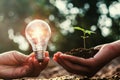 lightbulb and small tree growing on hand . concept solar energy