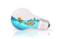 Lightbulb with water and fish inside