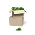 Lightbulbs with green grass in the opened cardboard box, on white background, concept of ECO and green energy, 3D illustration