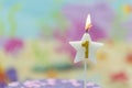Lighted birthday candle in star shape with blurred background. 1 year anniversary, deep sea theme. Celebration, party and joy