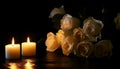 Lighted candle and elegant white roses arrangement on dark background. All souls day, Death, decrease, Prayer, Memirial Royalty Free Stock Photo
