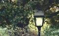 Lighted modern and classical lantern shining bright light in at night in the dark garden