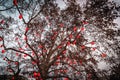 Lighted ornate tree on which hearts are hung, Rathausplatz, Vienna Royalty Free Stock Photo