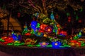 Lighted Peacocks at Gilroy Gardens during the Lumination show