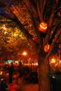 Lighted pumpkins in a tree