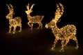 Lighted Reindeers for Christmas Royalty Free Stock Photo