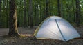 Lighted tent and tree Royalty Free Stock Photo